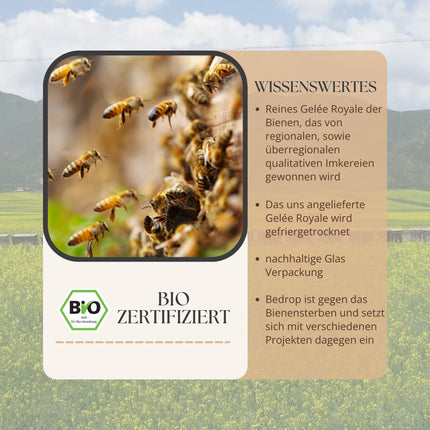 bedrop Organic Royal Jelly fresh &amp; pure 100g in organic quality | 10-HDA content &gt;1.7% - 100% natural bee milk - Fresh royal jelly from the beekeeper