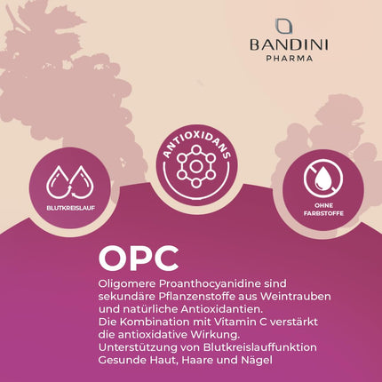 Bandini® Grape Seed Extract 200 Capsules for 3 Months | Highly Dosed with 95% OPC per Capsule | Highest Content According to HPLC | From Italian Grapes | 1052mg Extract with 999.4mg OPC + 24mg Vitamin C