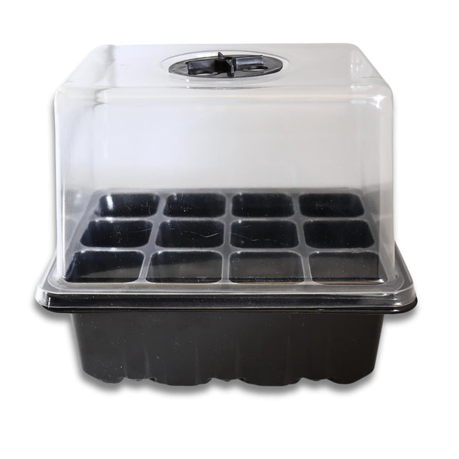 Small indoor greenhouse with 12 cells of 3.5 x 3.5 cm² for growing plants indoors, on windowsills, balconies, or terraces. A growing box ideal for fast-growing seedlings (black)