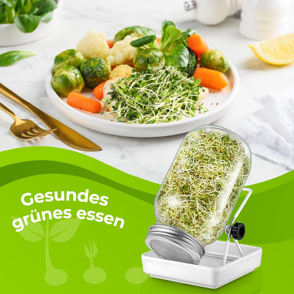 ecooe sprouting jar, set of 1 sprouting jars for sprouting jars with 1 water bowl, 1 filter mesh cover made of 304 stainless steel and 1 stand
