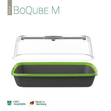 Romberg BoQube M | Indoor greenhouse with ventilation | Watering hole | Optimal microclimate and space for 18 seed pellets | 37 x 19 x 18 cm | Anthracite