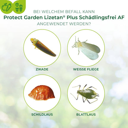 PROTECT GARDEN Lizetan Plus Pest-Free AF ​​against pests on ornamental plants, roses, fruits and vegetables, 800 ml spray