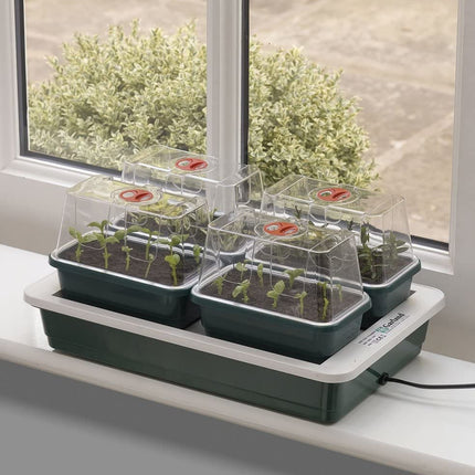 Garland Electric Mini Greenhouse with Heating and Ventilation, Plastic, 4 Pieces, 38.5 x 24 x 15.5 cm, Garden