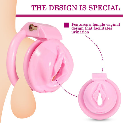 BDSMLOVE Penis Cage with Labia, Flat Chastity Cage Male Small, Chastity Cage for Men, Sex Toy Set for Men, Chastity Belt for Men, Penis Cage with 4 Cock Rings Extreme (M)
