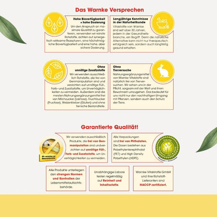 Enzyme Complex - Bromelain, Trypsin, Chymotrypsin, and Rutoside - Topenzym Plus - 50 Capsules | Warnke Vitalstoffe - German Pharmacy Quality