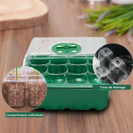 Meijunter Indoor Greenhouse Propagator 6pcs 72 Cells Mini Plant Greenhouse Indoor Greenhouse Seedling Hole Breathable Seed Grower Transparent Cover Nursery Box