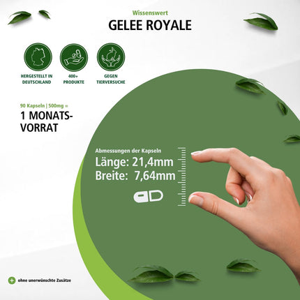 Fairvital | Royal Jelly 500mg - 90 Capsules - HIGH DOSE - standardized to 4% 10-HDA