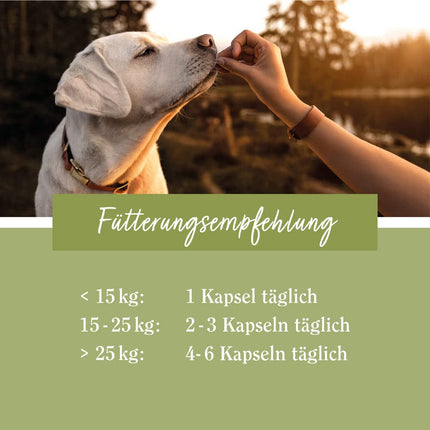 tierlieb Gelenkfreund Dog Capsules with Calcium, Magnesium, Glucosamine &amp; Chondroitin 130 Capsules