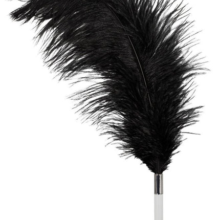 Bad Kitty Feather Black Acrylic - seductive feather to seduce your partner, small sex toy for bondage sex, erotic tickling, black