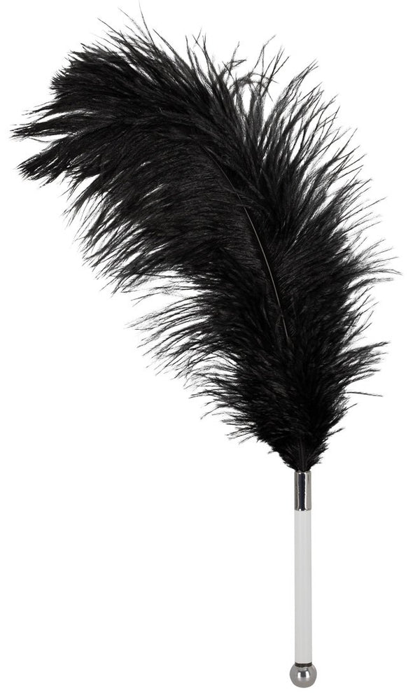 Bad Kitty Feather Black Acrylic - seductive feather to seduce your partner, small sex toy for bondage sex, erotic tickling, black