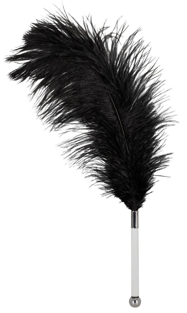 Bad Kitty Feather Black Acrylic - seductive feather to seduce your partner, small sex toy for bondage sex, erotic tickling, black
