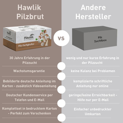 Hawlik Mushroom Spawn Grow Your Own Mushrooms – Stone Mushroom Growing Kit – Growing Mushrooms at Home with Ease – Small Complete Kit for Beginners/as a Gift for Children and Gardening Enthusiasts