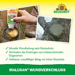 Neudorff Malusan Wound Closure - Effective wound healing on fruit and ornamental trees, protects against germs and fungi, ready-to-use, 275 ml, white