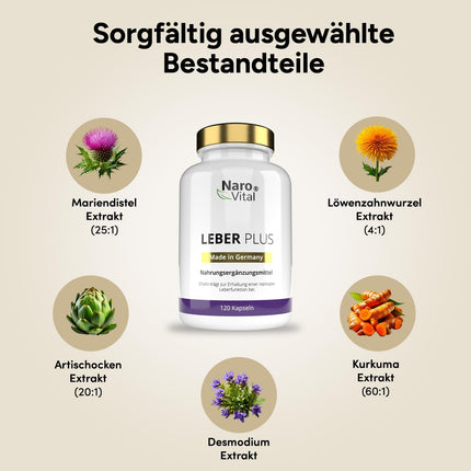 Liver Cure Milk Thistle Capsules High Dose - 80% Silymarin, Artichoke, Dandelion, Curcuma, Desmodium and Choline for the Liver Test Winner - 8-Fold Complex