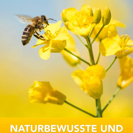 Nordbienchen® 20ml Propolis Tincture with 20% Propolis from our own beekeeping – Bee Propolis extract in the best beekeeping quality – No additives