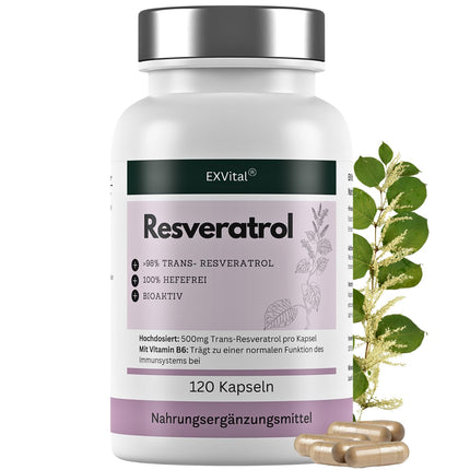 EXVital® Resveratrol Capsules, 98% Trans-Resveratrol, 500mg per capsule, 120 vegan capsules, vegan &amp; without additives, laboratory tested