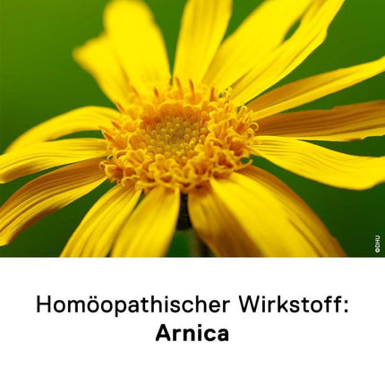 DHU Arnica D12 scatter beads, 10 g globules