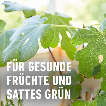 COMPO fertilizer for citrus plants, organic citrus fertilizer, COMPO ORGANIC citrus plant fertilizer, 500 ml