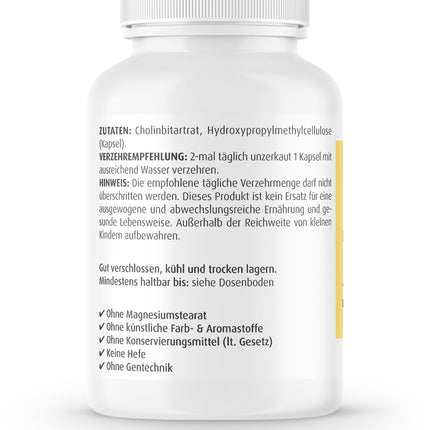 ZeinPharma Choline 600mg, 60 capsules (monthly supply) for normal fat metabolism, 52 g (1 pack)