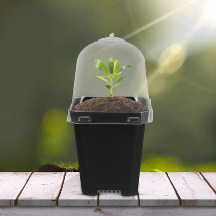 Mini Flower Pot Growing Pots With Dome: 10 Pieces Indoor Greenhouse Growing Set Dome Plants Plant Pots Windowsill Greenhouse Plastic Growing Trays Plant Pot for Plants