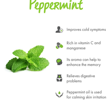 Click &amp; Grow Smart Garden Peppermint Plant Pods 3 Pack