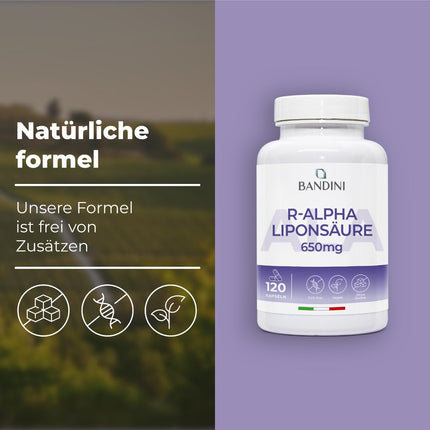 Bandini® Alpha Lipoic Acid 650 mg Depot | 120 high-dose vegan capsules | Natural antioxidant | High bioavailability | Helps with inflammation | 4-month supply | Laboratory-tested