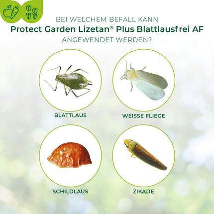 PROTECT GARDEN Lizetan Plus Aphid-Free AF ​​special spray against aphids on roses, ornamental plants, fruit and vegetables, 1 liter