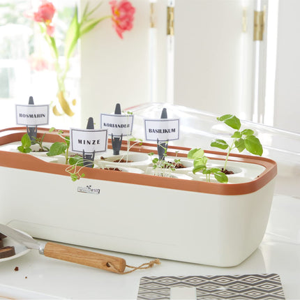 Romberg BoQube L Plus Greenhouse &amp; Planter System (hood, tray, insert, ceramic tubes) 16294199