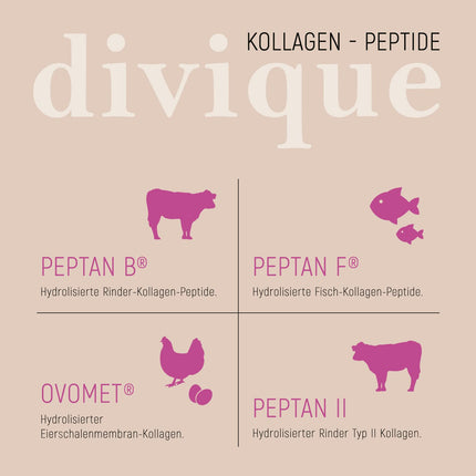 Divique Collagen Powder [500g] - Premium Collagen Complex Types 1, 2, 3, 5, 10-100% Collagen Hydrolysate Peptides - 10,000 mg Collagen per day - tasteless, water-soluble, no additives