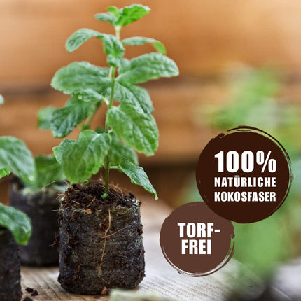 Windhager Growing Pots &amp; Growing Tablets, Growing Tablets, Coconut Soil Tablets for Growing Cuttings, Seeding Soil, Pressed Coconut Soil, Peat-Free, 100 Pieces, 3.5 cm, 04342, Brown