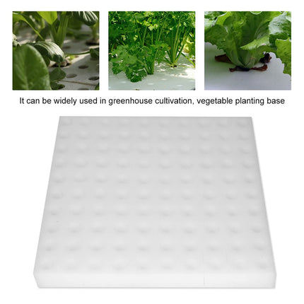 Haofy Vegetable Growing Gardening Tools, 100 Pieces Hydroponic Sponge Plant Gardening Tool Square Seedling Sponges for Greenhouse
