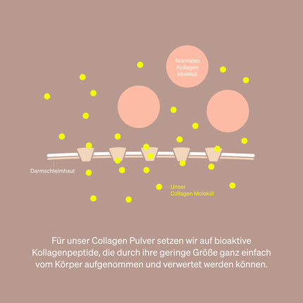 Collagen Powder 500 g – Collagen Hydrolysate Peptides – Collagen Type 1 and 3 – fresh orange flavor, perfect solubility, natural, laboratory-tested and produced in Germany