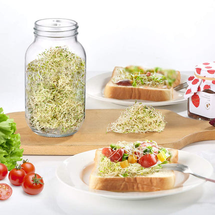 ecooe sprouting jar, set of 1 sprouting jars for sprouting jars with 1 water bowl, 1 filter mesh cover made of 304 stainless steel and 1 stand