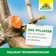 Neudorff Malusan Wound Closure - Effective wound healing on fruit and ornamental trees, protects against germs and fungi, ready-to-use, 275 ml, white