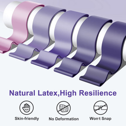 Fitness Bands [Set of 5], 5 Different Strength Fitness Bands, Skin-Friendly Resistance Bands, Resistance Bands with Carrying Bag for Muscle Building, Yoga, Pilates, Crossfit, Cardio, Men and Women