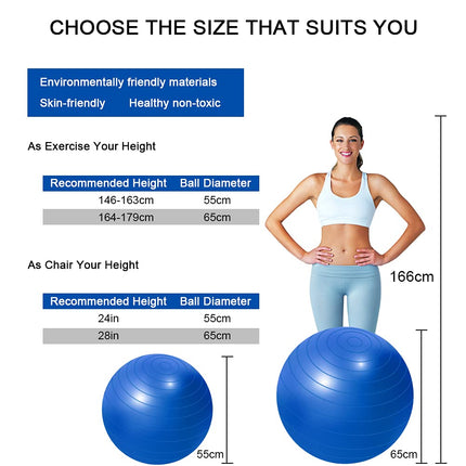 flintronic Exercise Ball, 65 cm Ultra-Thick Anti-Explosion Yoga Ball with Inflatable Foot Pump, Robust Maximum Load Fitness Ball for Sports Fitness, Yoga, Pilates
