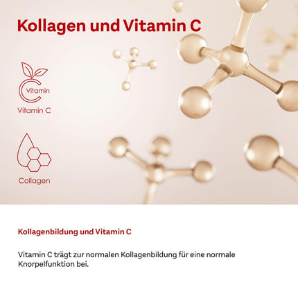 Doppelherz system KOLLAGEN 11,000 PLUS – With nutrients that contribute to the health of the musculoskeletal system and cell protection – 2 x 30 drinking bottles