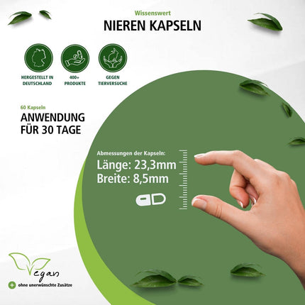 Fairvital | Kidney Capsules - 60 Capsules - HIGH DOSE - VEGAN - with cranberry, bearberry, dandelion, and more