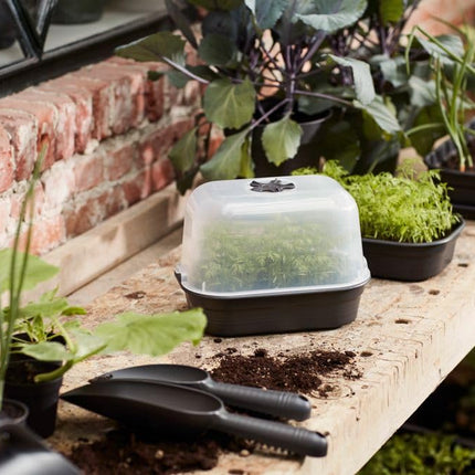 elho Green Basics Grow Tray Set - Grow Box for Plants - Seedling Tray - 100% Recycled Plastic - Green/Leaf Green