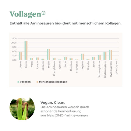COSPHERA® Collagen Formation Hyaluron 120 Capsules vegan with Vitamin C, Biotin, OPC, Zinc &amp; Copper high dose - Vollagen® for the formation of collagen capsules 100% plant-based