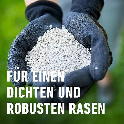 COMPO lawn fertilizer with long-term effect - No chance for moss and weeds - 1.5 kg for 60 m² - COMPO Lawn Long-Term Fertilizer Perfect