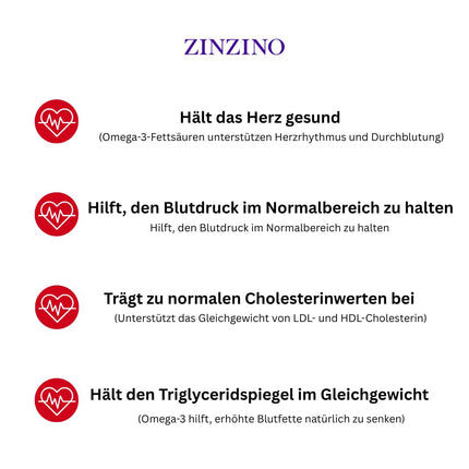 ZinZino BalanceOil+ Fish Oil with Omega-3 2478 mg, Omega-9, Vitamin D3, Tocopherol, DHA, EPA with Olive Oil Flavor Orange-Lemon-Mint, 300 ml
