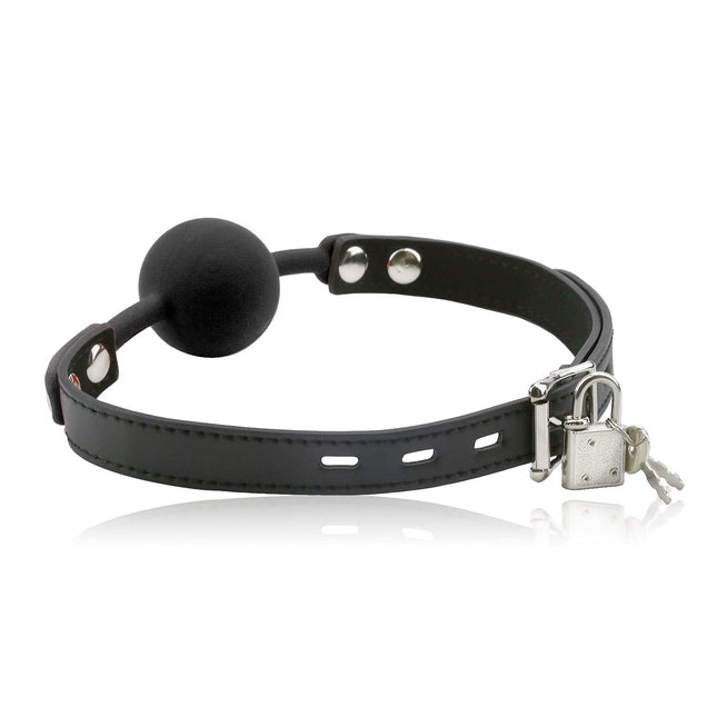 Hisionlee BDSM Mouth Gag Ball Interchange Silicone Ball Gag with Lock Key (Black Ball Line)
