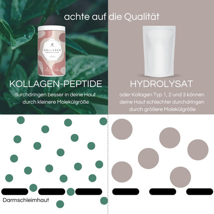 KOLL`ZYM© 100% COLLAGEN POWDER high-dose [300g] • The Original • COLLAGEN Peptides • Bioactive Collagen • NO Hydrolysate • Tasteless • Made in Germany