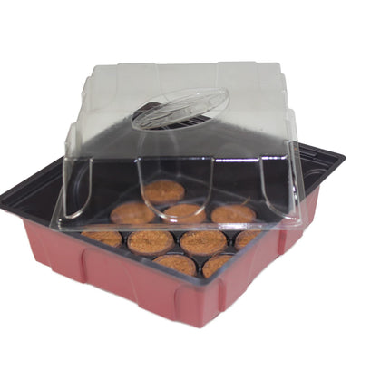 Windhager indoor greenhouse including 12 seedling tablets, mini greenhouse, terracotta/anthracite, 19.5 x 19 x 11 cm