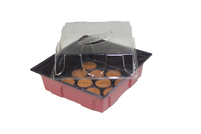 Windhager indoor greenhouse including 12 seedling tablets, mini greenhouse, terracotta/anthracite, 19.5 x 19 x 11 cm