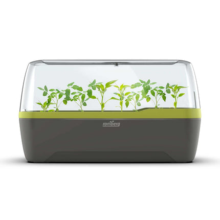 Romberg BoQube L Plus (planting system, color anthracite-summer green, PAH-free, food-safe, with ventilation) 16294169