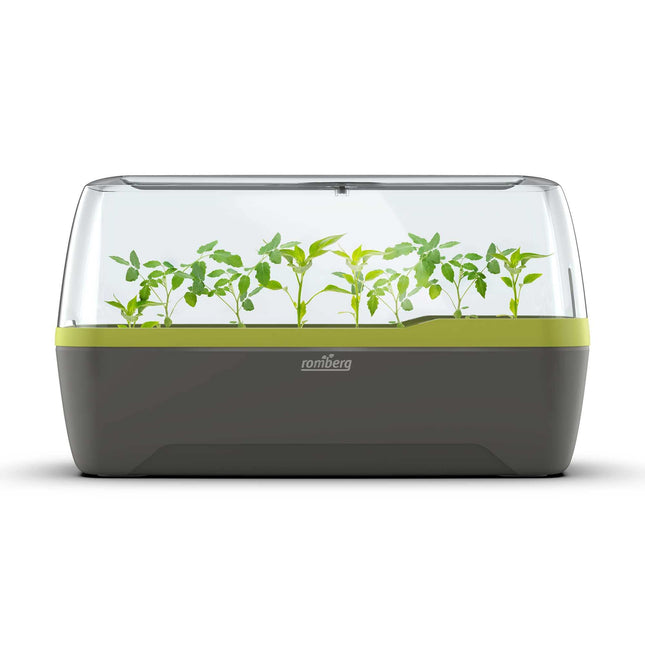 Romberg BoQube L Plus (planting system, color anthracite-summer green, PAH-free, food-safe, with ventilation) 16294169