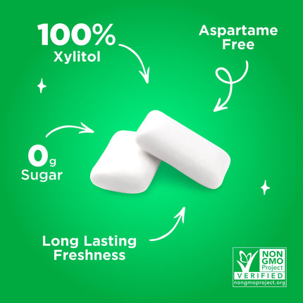 Pur Gum | Sugar-Free Chewing Gum | 100% Xylitol | Vegan, Aspartame-Free, Gluten-Free &amp; Diabetic-Friendly | Natural Spearmint Flavored Chewing Gum, 55 Pieces (1 Pack)