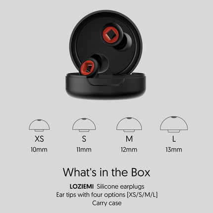 LOZIEMI Quiet Earplugs for Sleeping and Noise Reduction - Super Soft, Reusable Flexible Silicone Hearing Protection for Concerts, Noise Sensitivity - 8 Earplugs (Black, Medium)